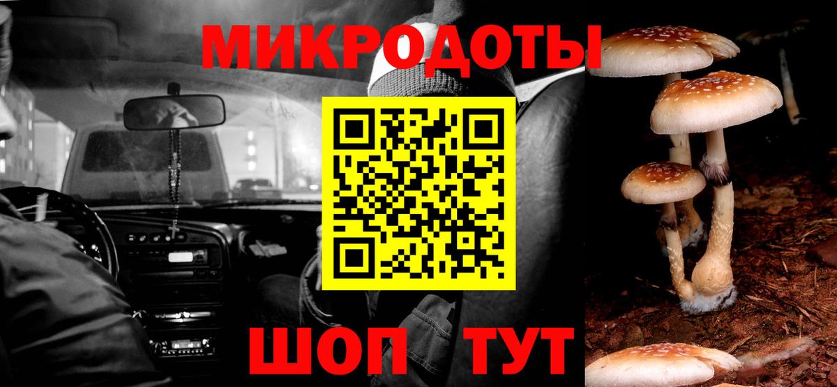 Псилоцибиновые грибы Psilocybe  Вход с VPN  Сорочинск  Галлюциногенные грибы прущие грибы 